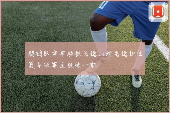 鹈鹕队宣布助教戈德山姆高德担任夏季联赛主教练一职