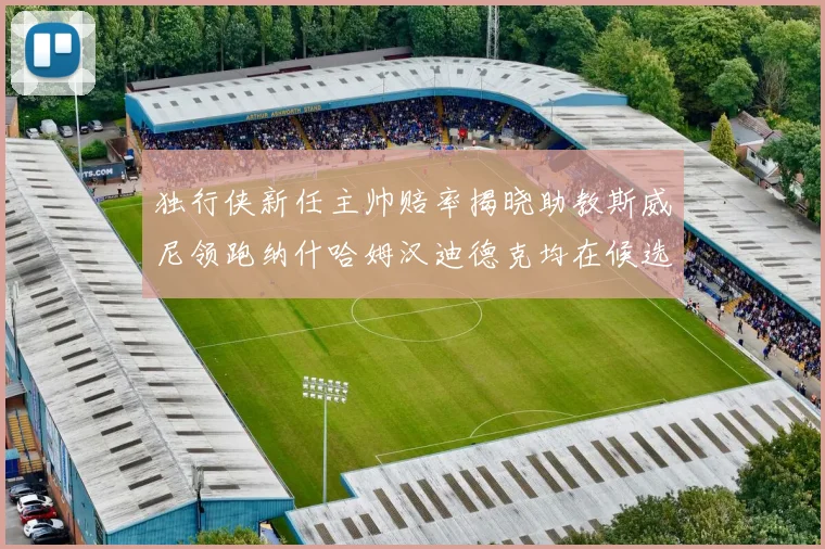 独行侠新任主帅赔率揭晓助教斯威尼领跑纳什哈姆汉迪德克均在候选之中